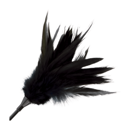 HÖYHENPIISKA & RATSUPIISKA – 2 IN 1 - Puuhabox 