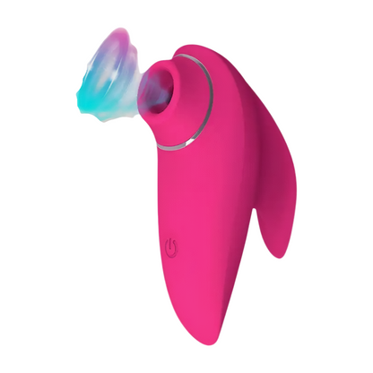 DELFIINI KIIHOTIN - Puuhabox 