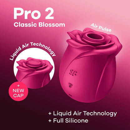 PRO 2 BLOSSOM - Puuhabox 