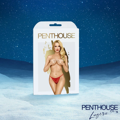 SATISFYER JOULUKALENTERI PREMIUM 2025 - Puuhabox 