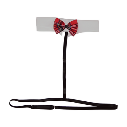 SEKSIKÄS KOULUPUKU - SEKSIASU SETTI - Puuhabox 